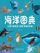 海洋图典：让孩子着迷的105种海洋动物在线阅读