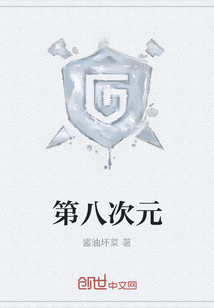 第八次元