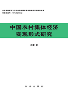 中国农村集体经济实现形式研究在线阅读