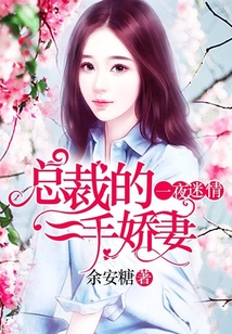 一夜迷情：總裁的二手嬌妻