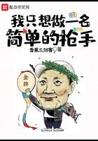 我只想做一名簡單的槍手在線閱讀