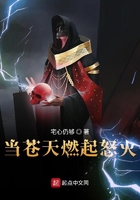 當蒼天燃起怒火在線閱讀