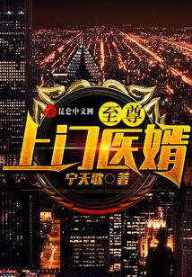 至尊上門醫婿