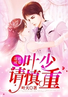 谋婚成爱:叶少请慎重在线阅读