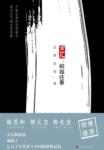 言他：桐城往事