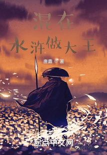 混在水滸做大王