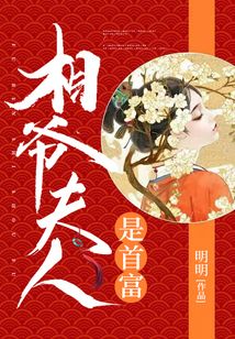 相爺夫人是首富