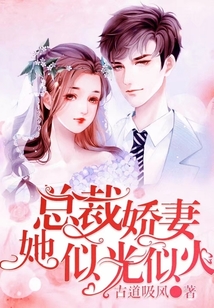 總裁嬌妻她似光似火