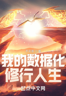 我的數據化修行人生