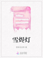 雪烬灯在线阅读
