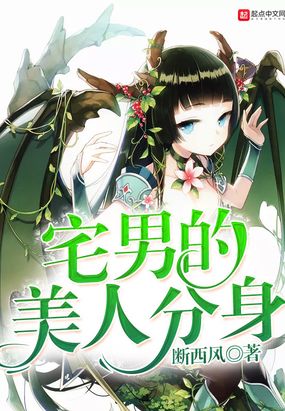 宅男的美人分身在线阅读