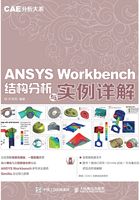 CAE分析大系：ANSYS?Workbench结构分析与实例详解