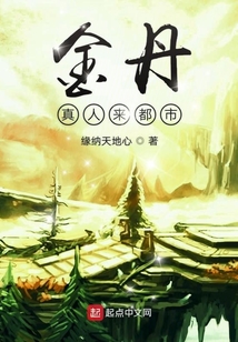 這個金丹不一般