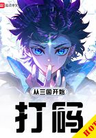 从三国开始打码