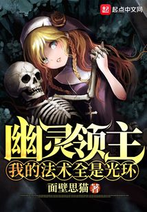 幽靈領主:我的法術全是光環