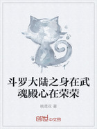 斗罗大陆之身在武魂殿心在荣荣在线阅读