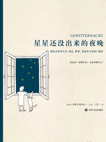 星星還沒出來的夜晚