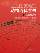 无脊椎动物:节肢动物·棘皮动物·半索动物(国家地理动物百科全书)在线阅读