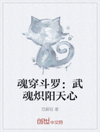 魂穿斗罗:武魂炽阳天心在线阅读