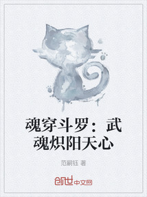 魂穿斗羅：武魂熾陽天心