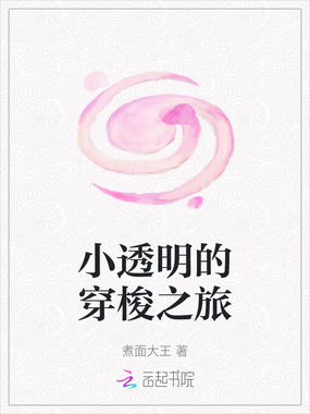 小透明的穿梭之旅在线阅读