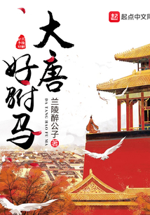 大唐好駙馬