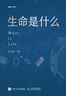 生命是什么