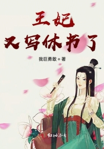 王妃又写休书了