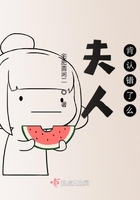 夫人肯認錯了么在線閱讀