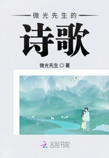 微光先生的詩歌