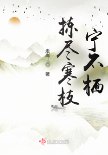 揀盡寒枝寧不棲