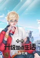 我的升级加点生活