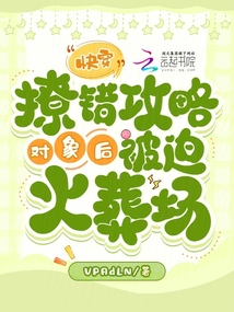 快穿:撩錯攻略對象后被迫火葬場