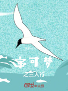 宝可梦:三位训练家的梦幻之旅在线阅读