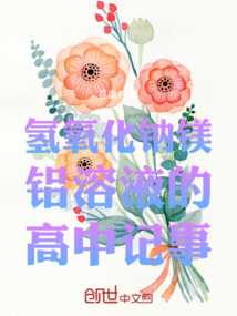 氫氧化鈉鎂鋁溶液的高中記事