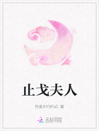 止戈夫人在线阅读