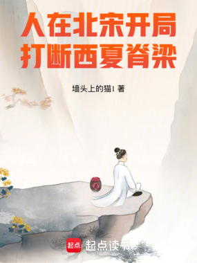 人在北宋，开局打断西夏脊梁！在线阅读