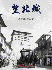 望北城