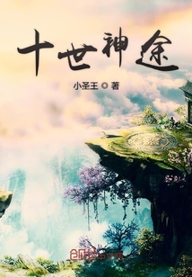 十世神途