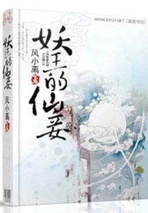 The Fairy Concubine of the Demon King