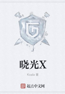 曉光X