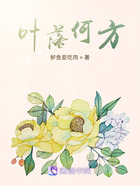 葉落何方在線閱讀