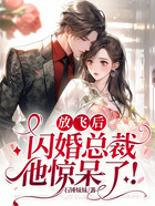 放飛后，閃婚總裁他驚呆了！在線閱讀
