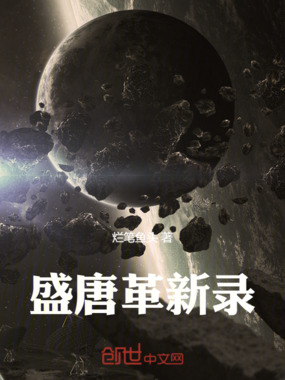 盛唐革新录在线阅读