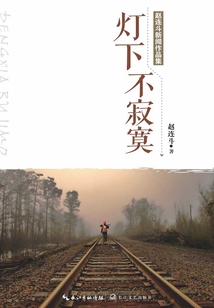 燈下不寂寞：趙連斗新聞作品集