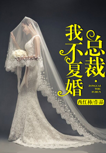 總裁，我不復婚