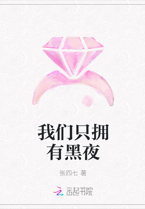 我们只拥有黑夜在线阅读