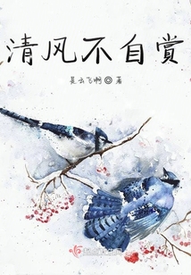 清風不自賞