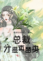 总裁才是真替身