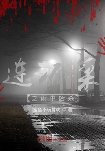 连环案之雨中凶杀